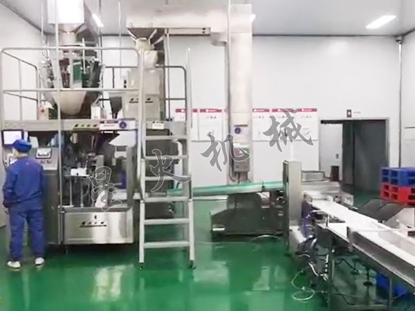 四川给袋式颗粒自动包装机实拍图